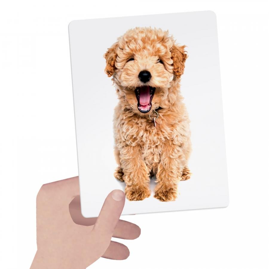 FLASHCARDS TACTILES MONTESSORI-EL JUGUETERO