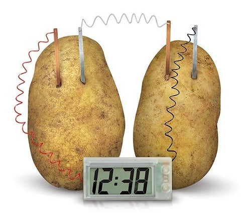 Kit De Ciencia Para Hacer Reloj Con Papa Experimentos-EL JUGUETERO