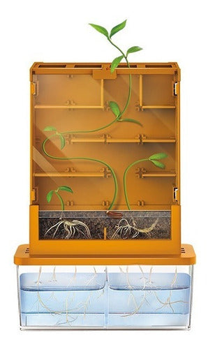 KIT DE LABERINTO PARA CRECIMIENTO DE PLANTAS - GROW-A-MAZE-EL JUGUETERO